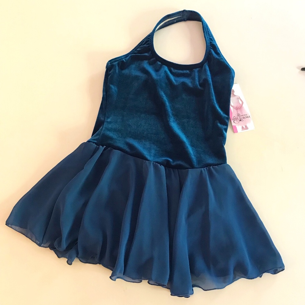 Princess Aurora Ice Skating / Dance Leotard